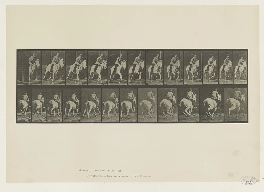 Animal locomotion, 1887