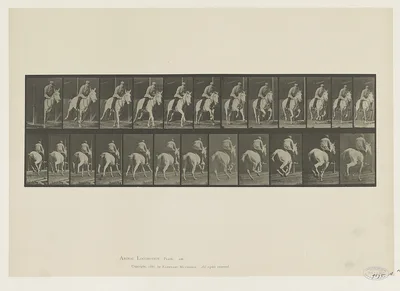 Animal locomotion, 1887