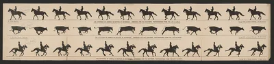Photograph from 1882: The attitudes of animals in motion, by Muybridge,…