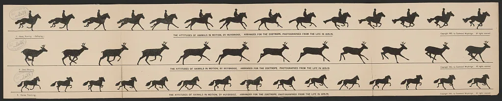 The attitudes of animals in motion, by Muybridge, arranged for the…, 1882
