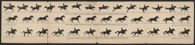 The attitudes of animals in motion, by Muybridge, arranged for the…, 1882