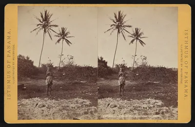 Colon (Aspinwall.) Road along the beach, Panama, 1873