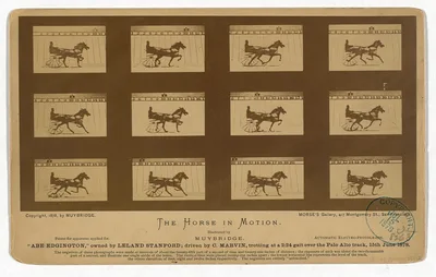 The Horse in motion. "Abe Edgington," owned by Leland Stanford;…, California, Palo Alto, 1878