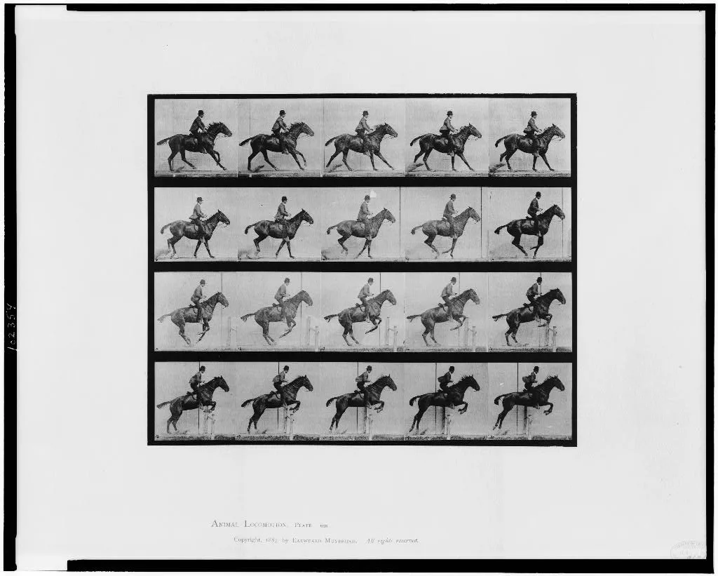 Animal locomotion, 1887