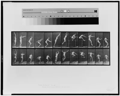 Animal locomotion, 1887