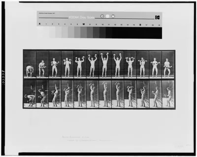 Animal locomotion, 1887