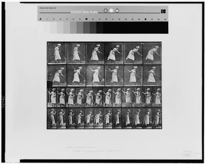 Animal locomotion, 1887
