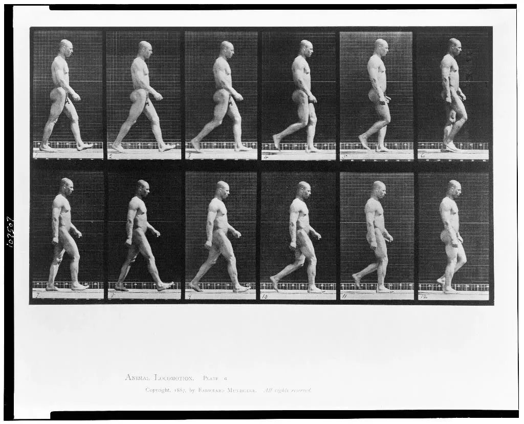 Animal locomotion, 1887