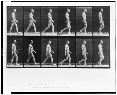 Animal locomotion, 1887