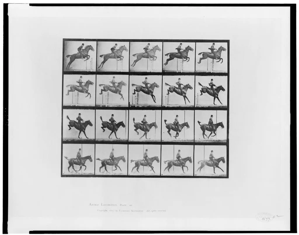 Animal locomotion, 1887