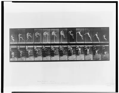 Animal locomotion, 1887
