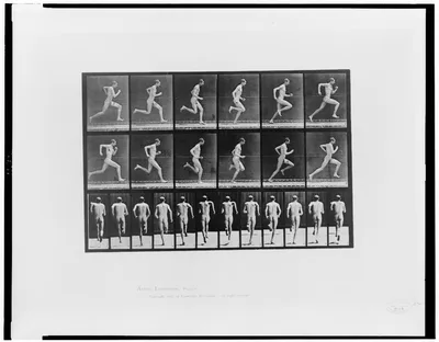 Animal locomotion, 1887