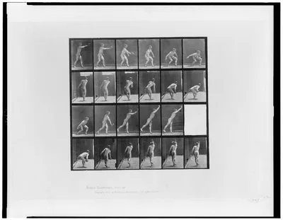 Animal locomotion, 1887