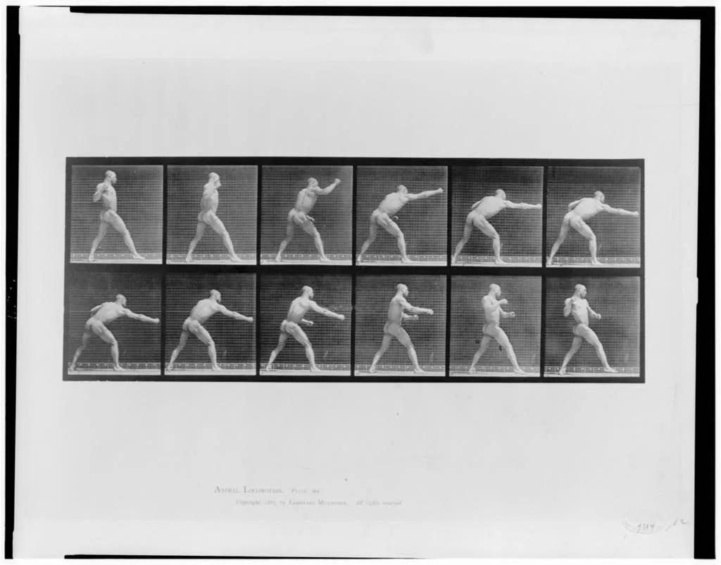 Animal locomotion, 1887