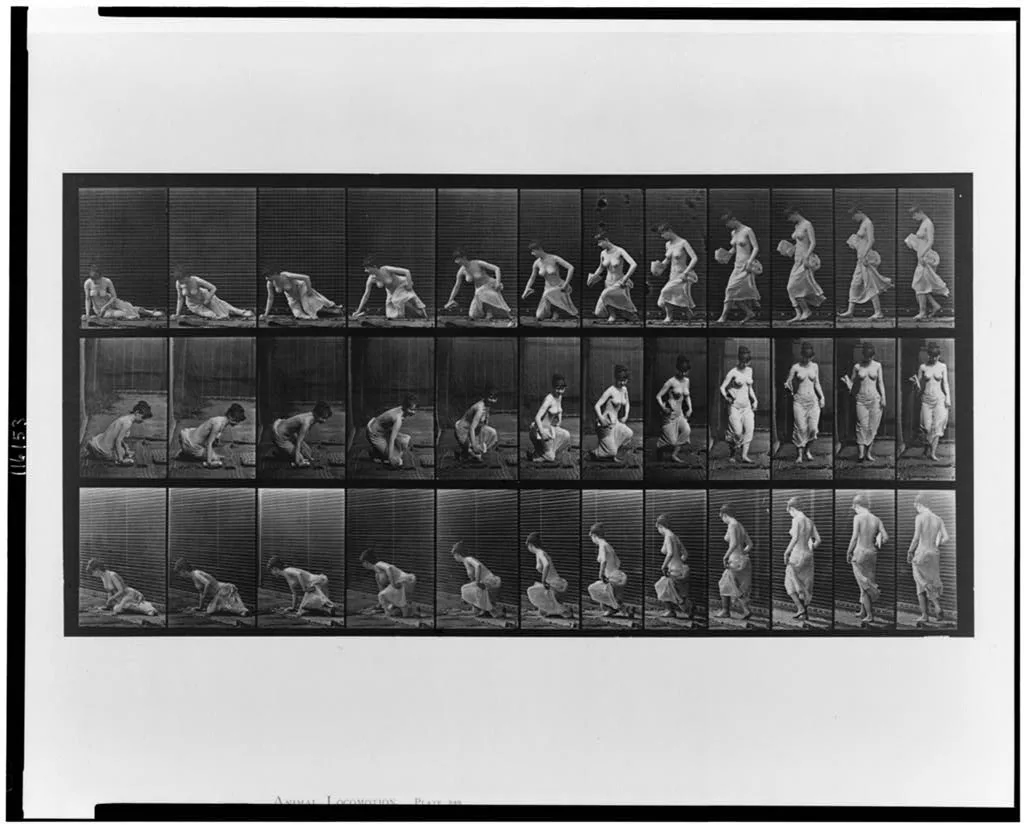 Animal locomotion, 1887
