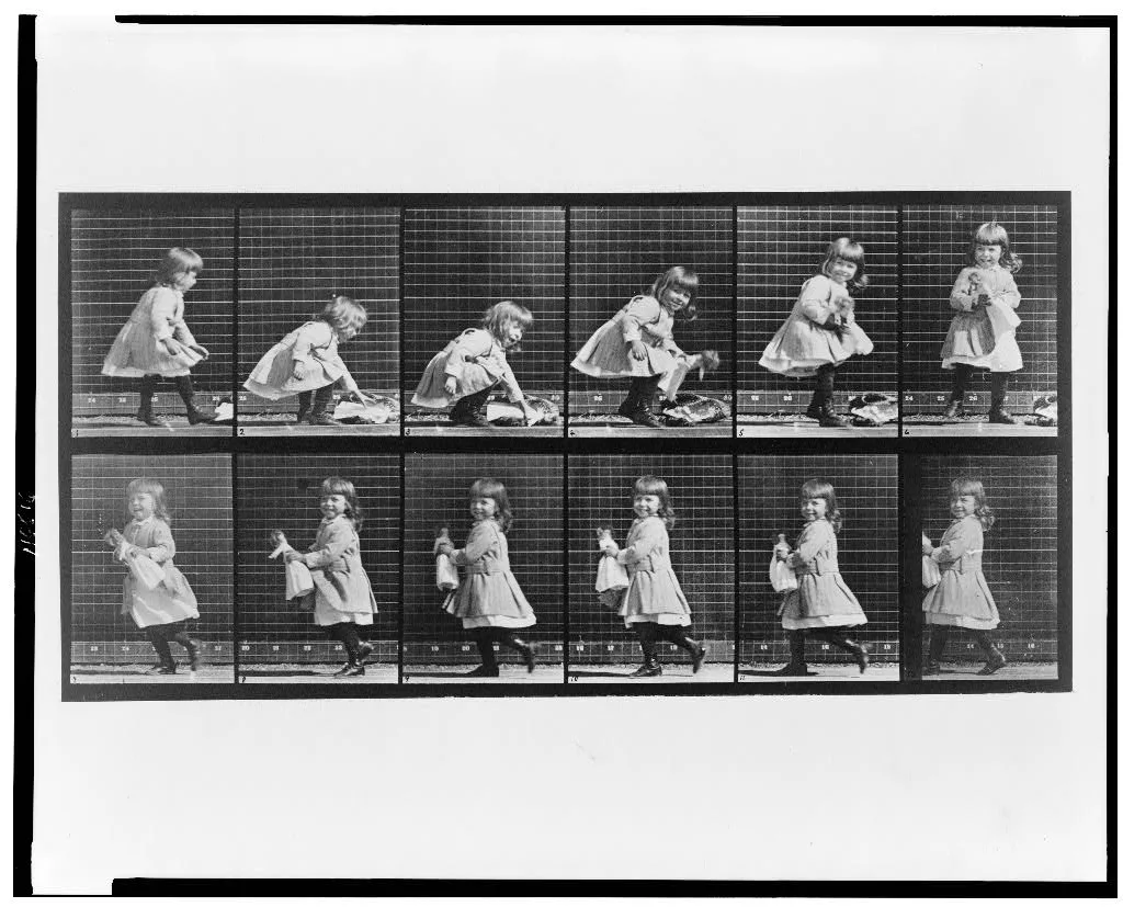 Animal locomotion, 1887