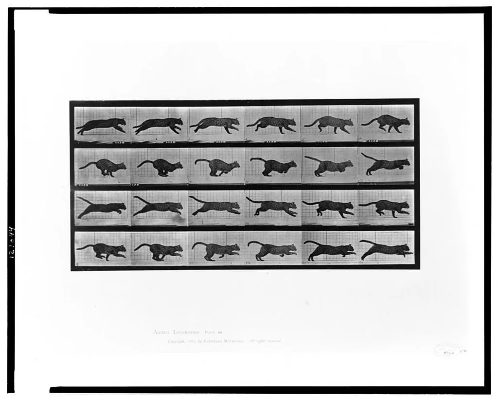 Animal locomotion, 1887